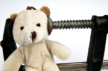 Image showing Clamp on the head teddy bear toy.