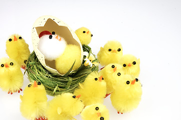 Image showing Little yellow chickens. Easter decorations.