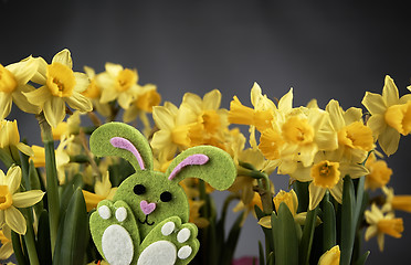 Image showing Easter bunny and yellow daffodils.