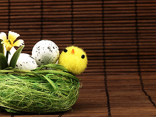 Image showing Easter chicken and eggs in the nest.