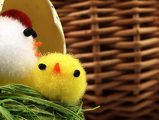 Image showing Easter chicken and eggs in the nest.