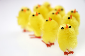 Image showing Little yellow chickens. Easter decorations.