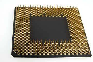 Image showing Processor seen from the gold pins on a white background.