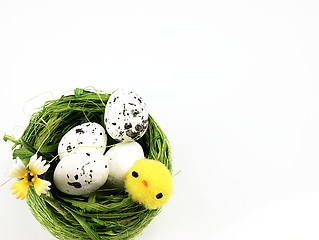 Image showing Easter chicken and eggs in the nest.