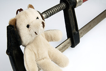 Image showing Clamp on the head teddy bear toy.