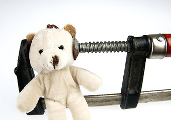 Image showing Clamp on the head teddy bear toy.