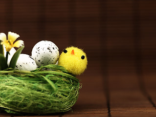 Image showing Easter chicken and eggs in the nest.