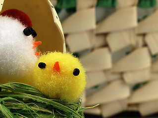 Image showing Easter chicken and eggs in the nest.