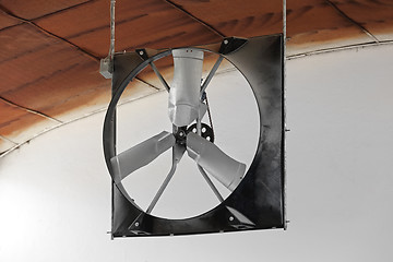 Image showing Fan