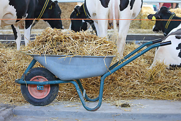 Image showing Wheelbarrow