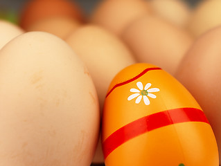 Image showing Colorful Easter egg in the company of ordinary eggs.