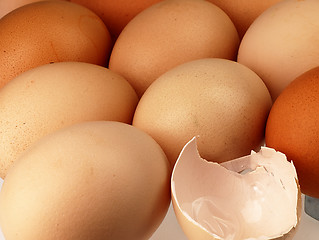 Image showing Eggshell against equal rows lying eggs.