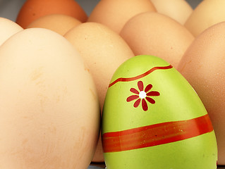 Image showing Colorful Easter egg in the company of ordinary eggs.