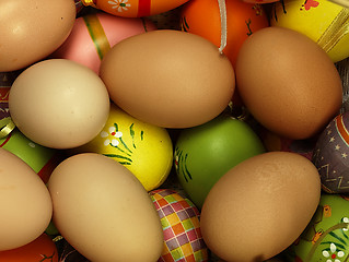 Image showing Colorful Easter eggs in the company of ordinary eggs.