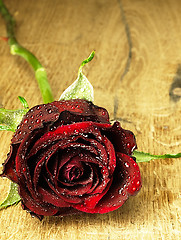 Image showing Red rose on the table and dew drops.