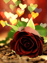 Image showing Red rose on a wooden table and hearts.