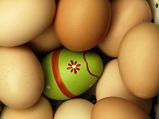 Image showing Colorful Easter eggs in the company of ordinary eggs.