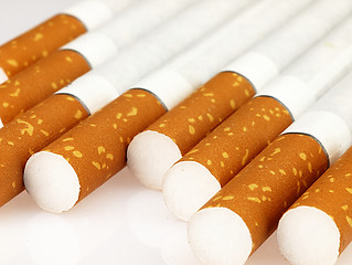 Image showing Several cigarettes on a white background.