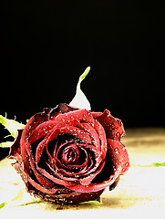 Image showing Red rose on the table and dew drops.