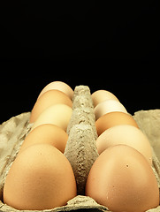 Image showing Fresh eggs in the box.