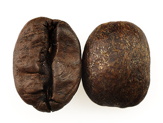 Image showing Coffee beans on a white background.