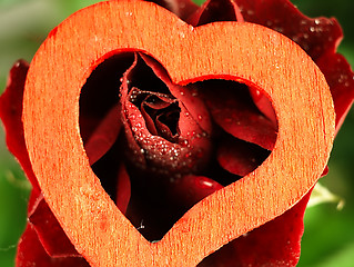 Image showing Heart and rose with dew drops on the petals.