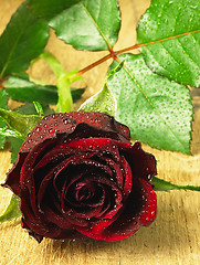 Image showing Red rose on the table and dew drops.