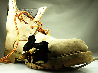 Image showing Old, heavy shoe trampling wizened rose.