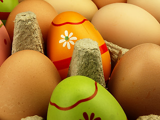 Image showing Colorful Easter eggs in the company of ordinary eggs.