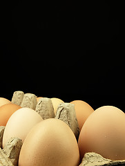 Image showing Fresh eggs in the box.