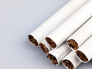 Image showing Several cigarettes on a white background.