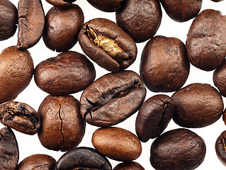 Image showing Coffee beans on a white background.