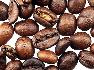 Image showing Coffee beans on a white background.
