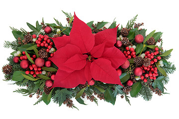 Image showing Poinsettia Flower Display