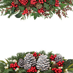 Image showing Christmas and Winter Floral Border