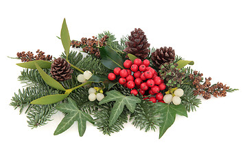 Image showing Traditional Winter Flora