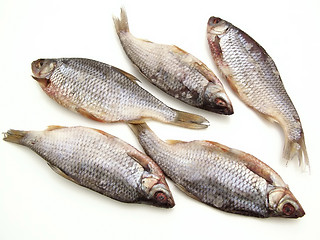 Image showing Dry fish