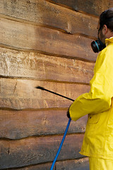 Image showing Washing the Siding