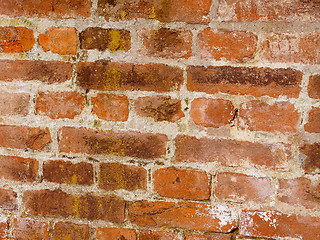 Image showing Retro look Red bricks background