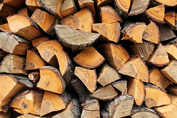 Image showing stack of firewood