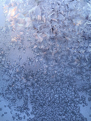 Image showing Ice pattern on winter glass