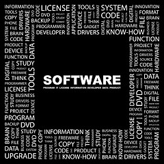 Image showing SOFTWARE