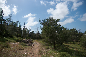 Image showing Spring season landscape