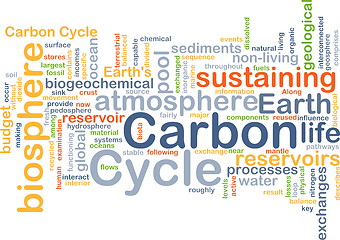 Image showing Carbon cycle background concept