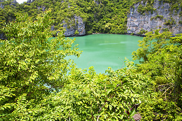 Image showing  coastline of a green lagoon and tree  south china  