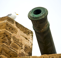 Image showing in africa morocco  green bronze cannon and the blue sky