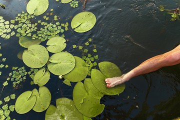 Image showing Peaceful place at the pond