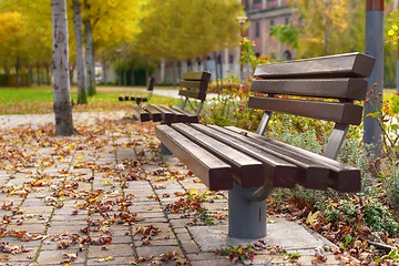 Image showing Stylish bench in autumn park