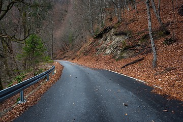 Image showing Road in autumn forest landscape