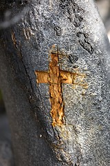 Image showing Wooden cross carved in wood